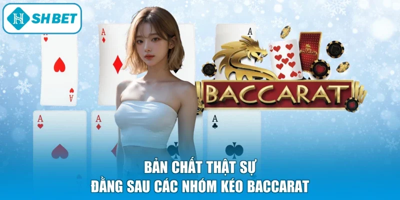 Bản chất thật sự đằng sau các nhóm kéo Baccarat