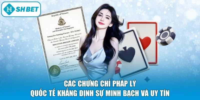 Các chứng chỉ pháp lý quốc tế khẳng định sự minh bạch và uy tín