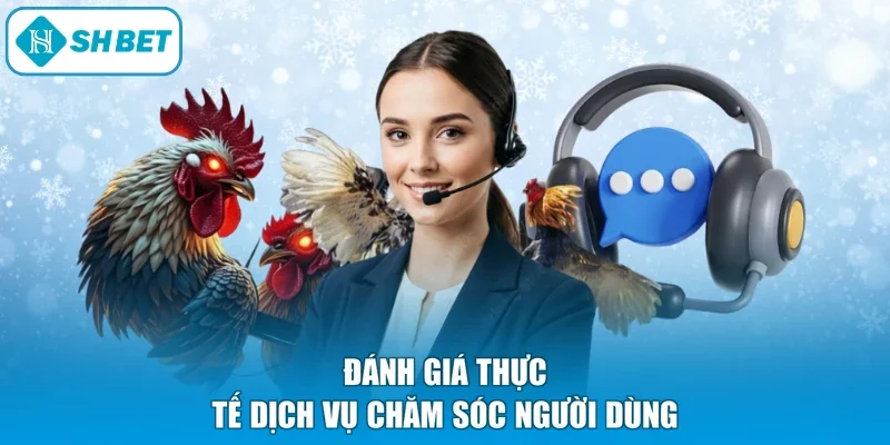 Đánh giá thực tế dịch vụ chăm sóc người dùng